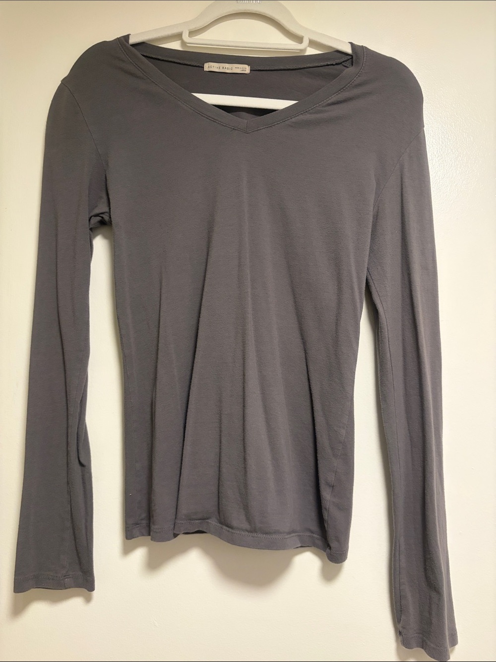Active Basic Long Sleeve V-Neck Top - Gray